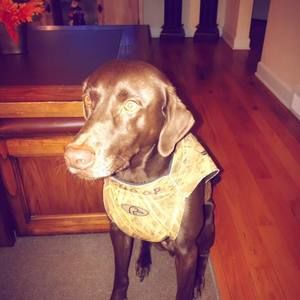 Meet your Posher, Dustin